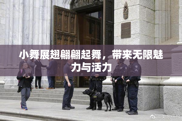 小舞展翅翩翩起舞，带来无限魅力与活力