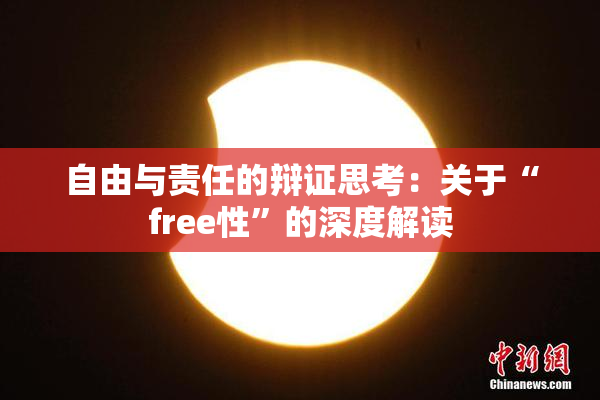 自由与责任的辩证思考：关于“free性”的深度解读
