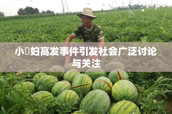 小婬妇高发事件引发社会广泛讨论与关注