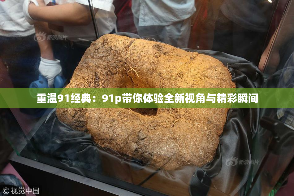 重温91经典：91p带你体验全新视角与精彩瞬间