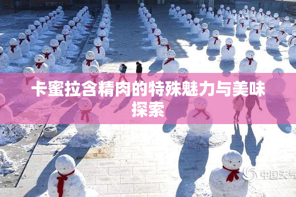 卡蜜拉含精肉的特殊魅力与美味探索