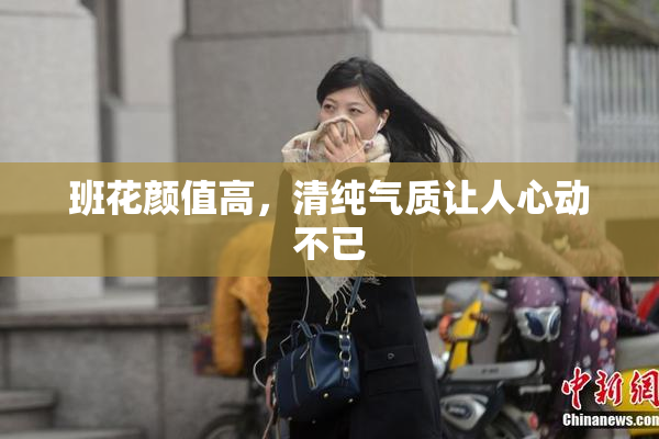 班花颜值高，清纯气质让人心动不已
