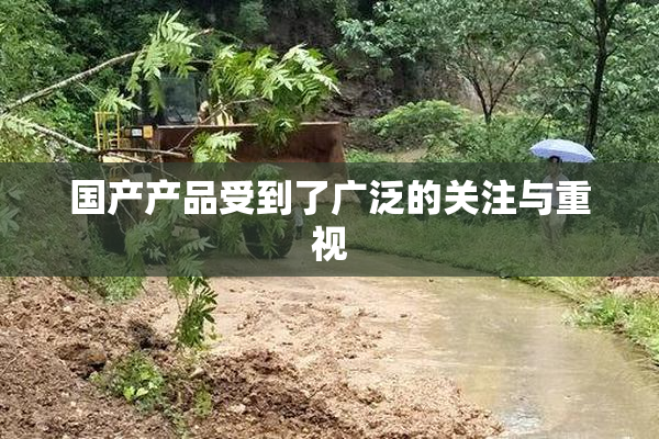 国产产品受到了广泛的关注与重视