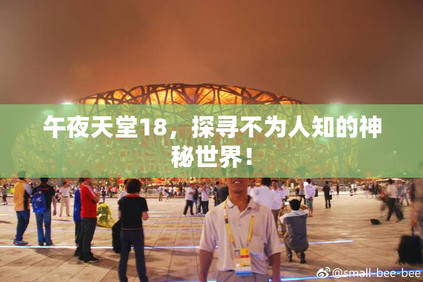 午夜天堂18，探寻不为人知的神秘世界！
