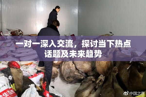 一对一深入交流，探讨当下热点话题及未来趋势
