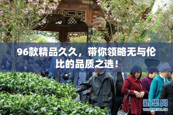 96款精品久久，带你领略无与伦比的品质之选！