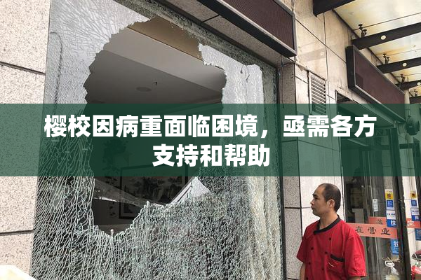 樱校因病重面临困境，亟需各方支持和帮助