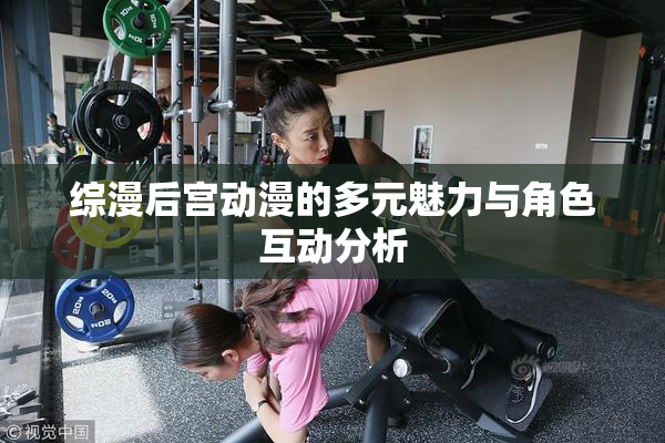 综漫后宫动漫的多元魅力与角色互动分析