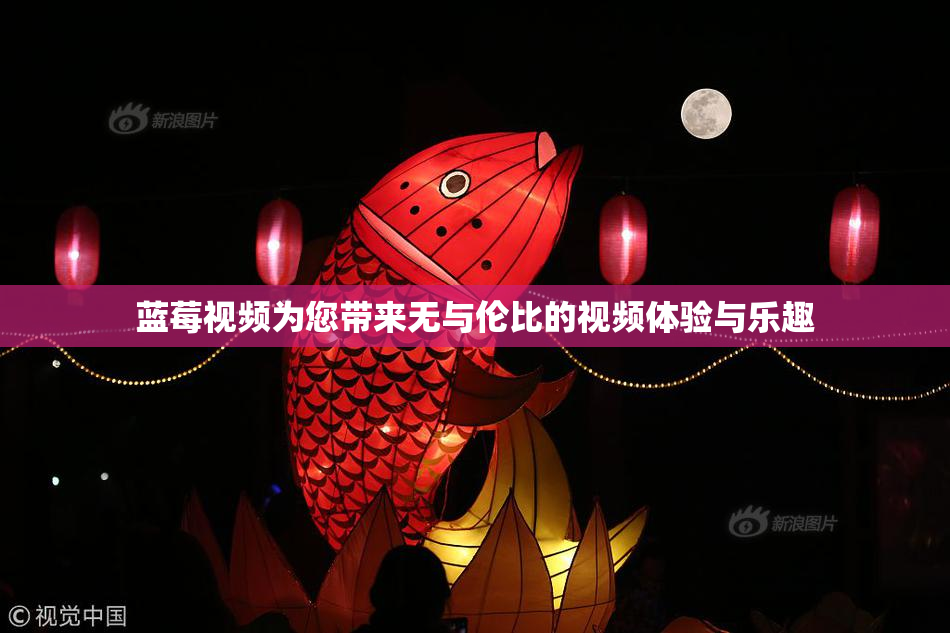 蓝莓视频为您带来无与伦比的视频体验与乐趣