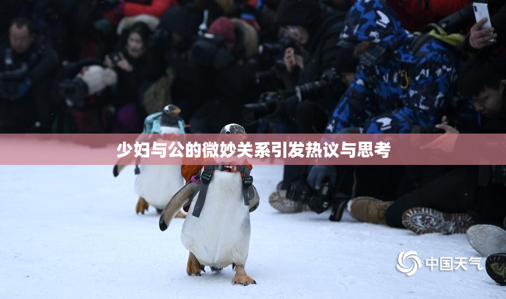 少妇与公的微妙关系引发热议与思考