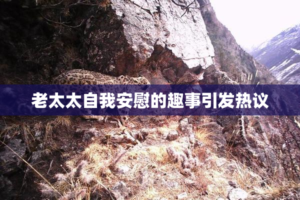 老太太自我安慰的趣事引发热议
