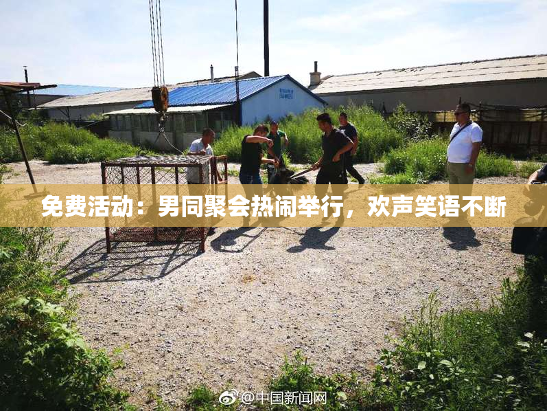免费活动：男同聚会热闹举行，欢声笑语不断