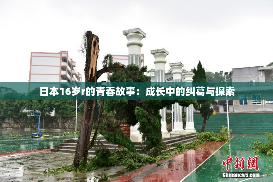 日本16岁r的青春故事：成长中的纠葛与探索