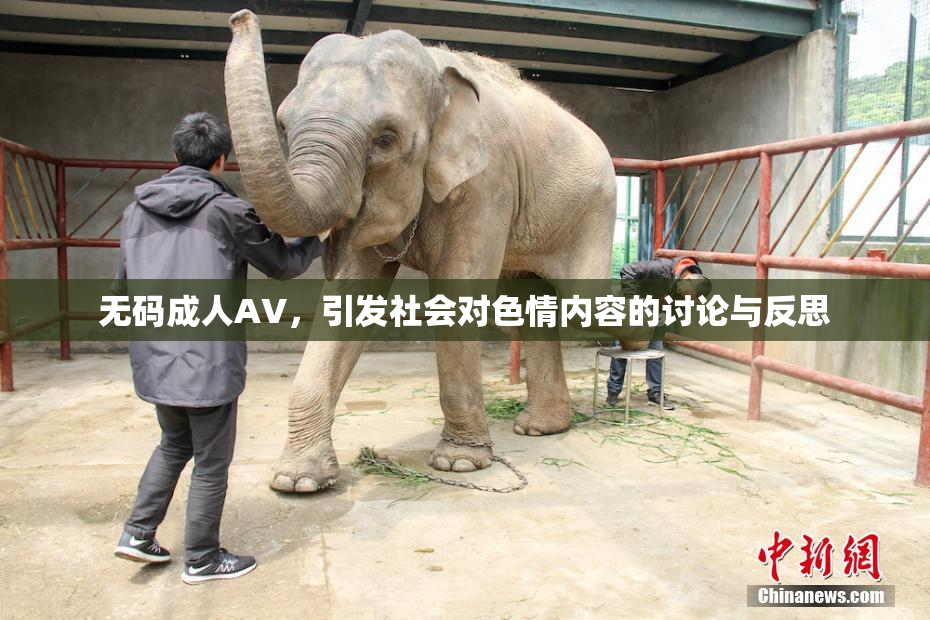 无码成人AV，引发社会对色情内容的讨论与反思