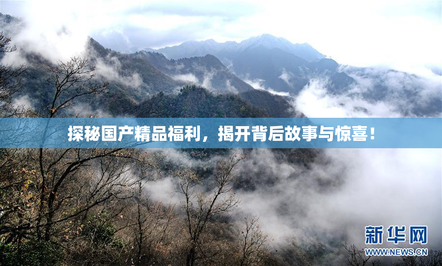 探秘国产精品福利，揭开背后故事与惊喜！