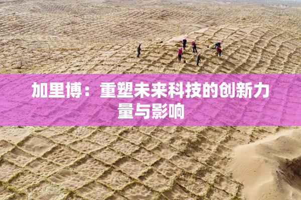 加里博：重塑未来科技的创新力量与影响