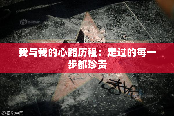 我与我的心路历程：走过的每一步都珍贵