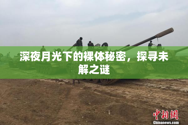 深夜月光下的裸体秘密，探寻未解之谜