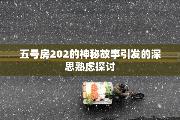 五号房202的神秘故事引发的深思熟虑探讨