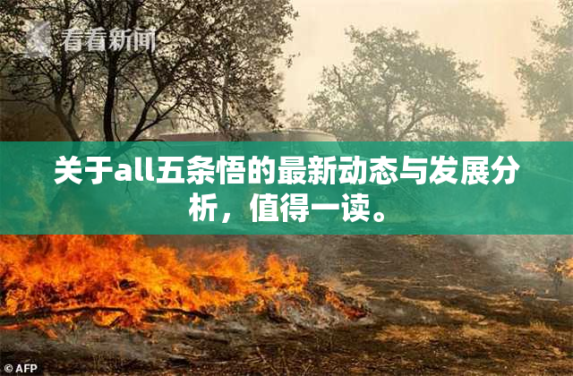关于all五条悟的最新动态与发展分析，值得一读。