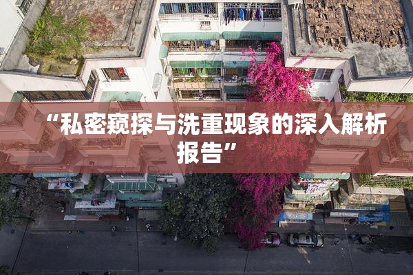 “私密窥探与洗重现象的深入解析报告”