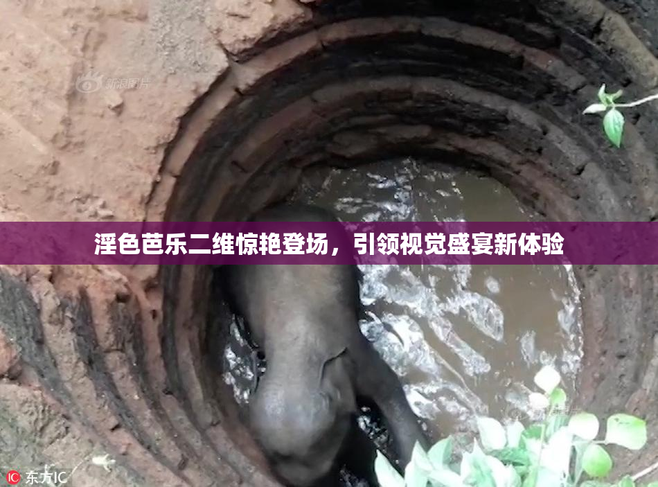 淫色芭乐二维惊艳登场，引领视觉盛宴新体验