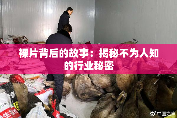 裸片背后的故事：揭秘不为人知的行业秘密