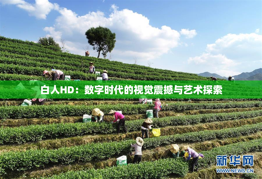 白人HD：数字时代的视觉震撼与艺术探索