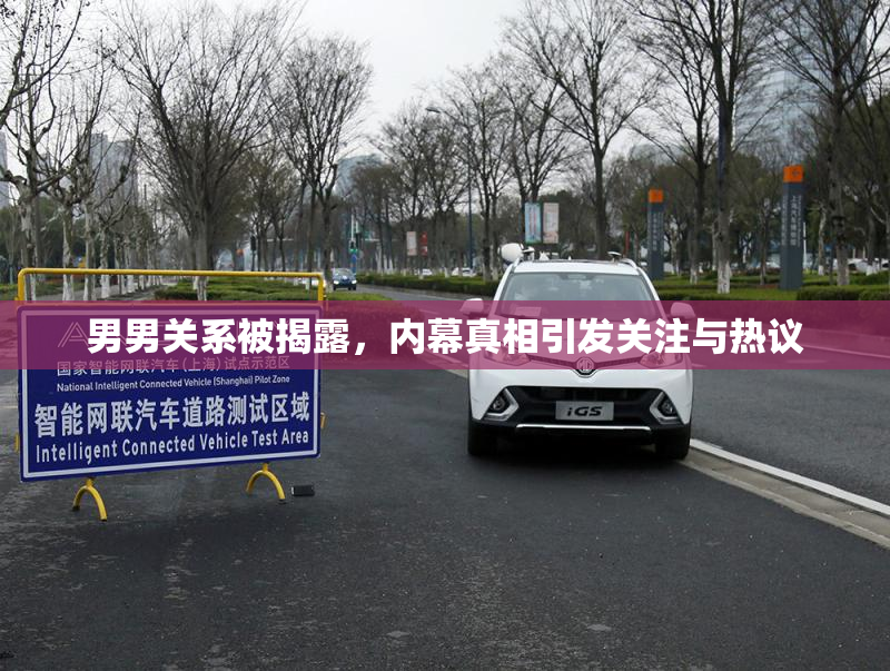 男男关系被揭露，内幕真相引发关注与热议