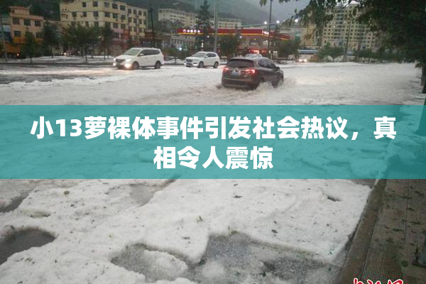 小13萝裸体事件引发社会热议，真相令人震惊