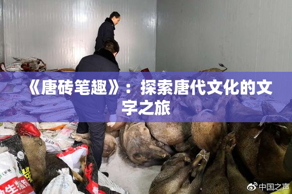 《唐砖笔趣》：探索唐代文化的文字之旅