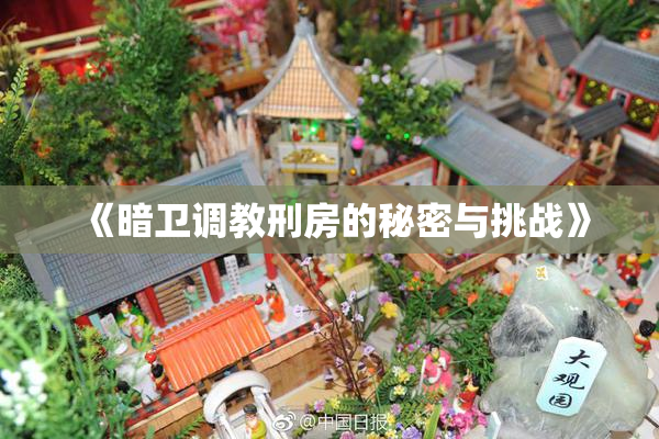 《暗卫调教刑房的秘密与挑战》