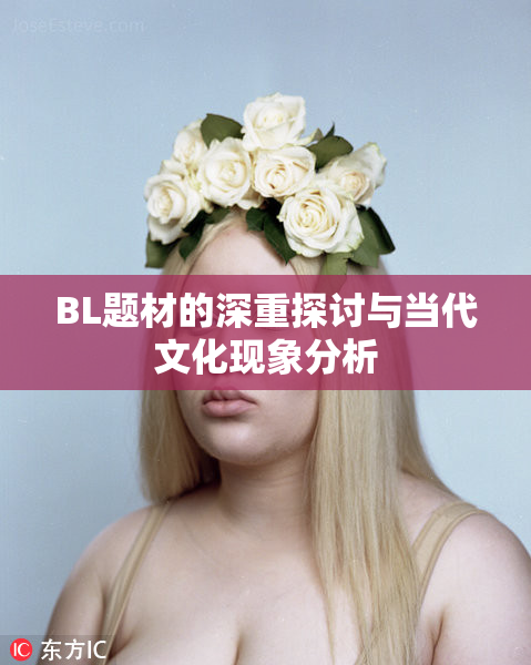 BL题材的深重探讨与当代文化现象分析