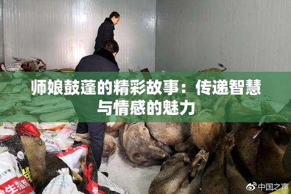 师娘鼓蓬的精彩故事：传递智慧与情感的魅力