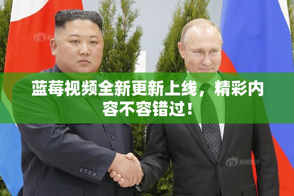 蓝莓视频全新更新上线，精彩内容不容错过！
