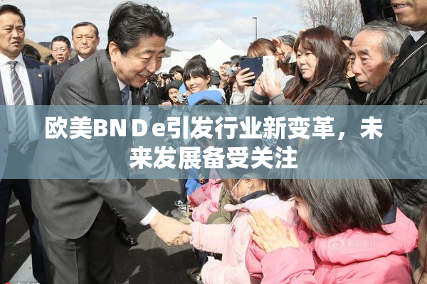 欧美BNＤe引发行业新变革，未来发展备受关注