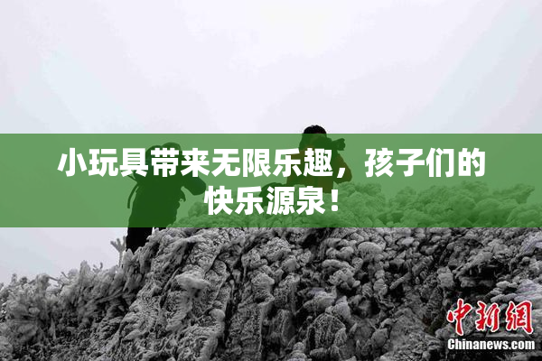 小玩具带来无限乐趣，孩子们的快乐源泉！