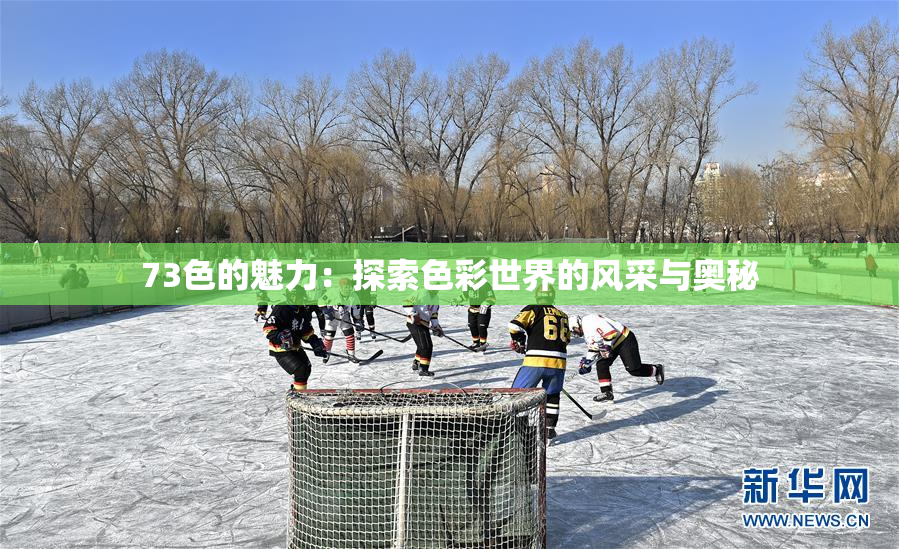 73色的魅力：探索色彩世界的风采与奥秘