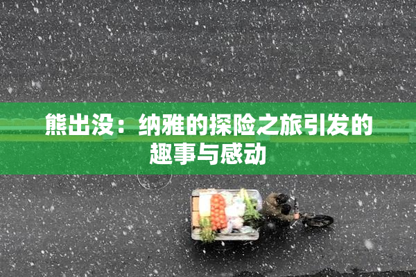 熊出没：纳雅的探险之旅引发的趣事与感动