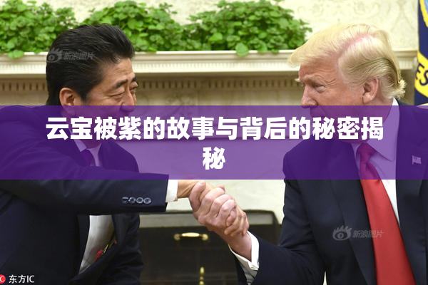 云宝被紫的故事与背后的秘密揭秘