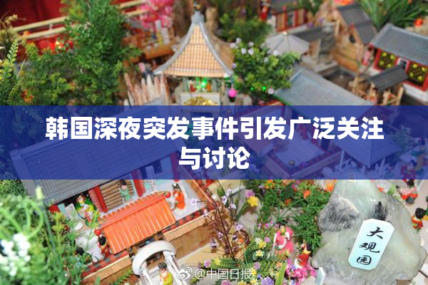 韩国深夜突发事件引发广泛关注与讨论
