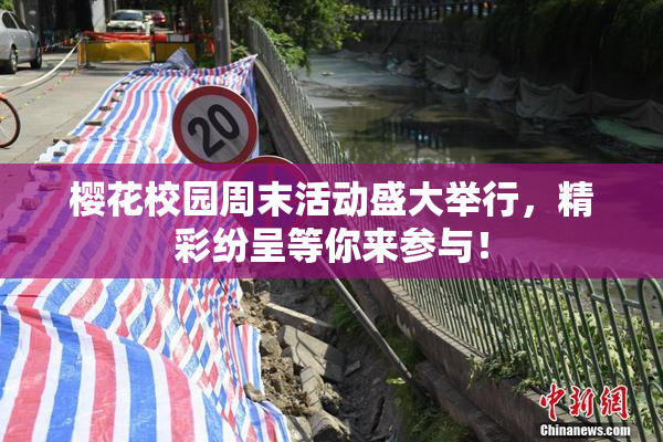 樱花校园周末活动盛大举行，精彩纷呈等你来参与！