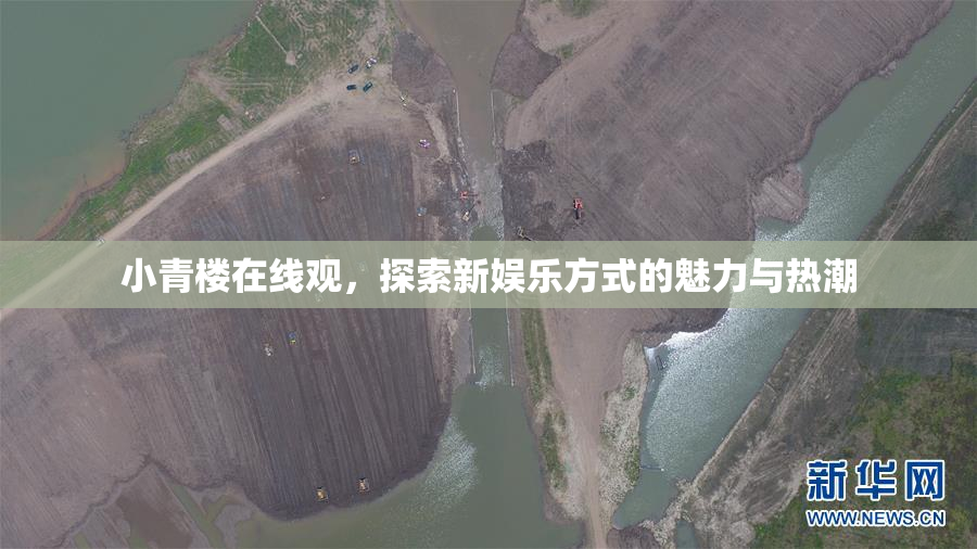 小青楼在线观，探索新娱乐方式的魅力与热潮