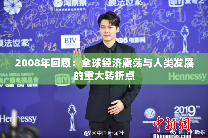 2008年回顾：全球经济震荡与人类发展的重大转折点