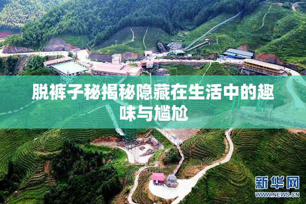 脱裤子秘揭秘隐藏在生活中的趣味与尴尬