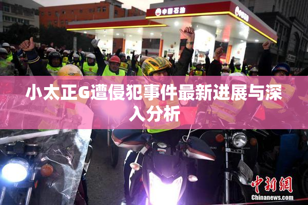小太正G遭侵犯事件最新进展与深入分析