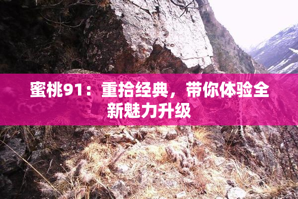 蜜桃91：重拾经典，带你体验全新魅力升级