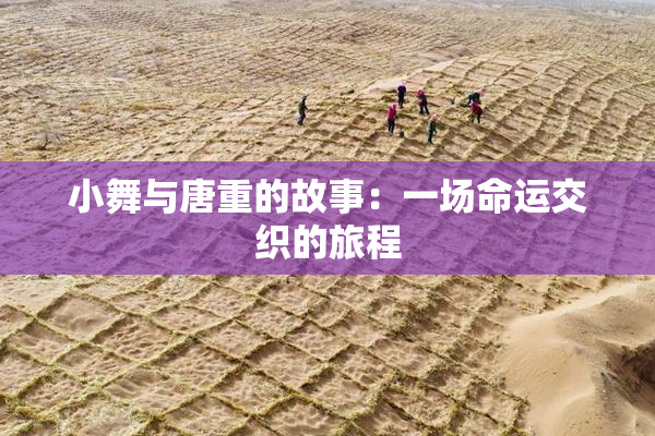 小舞与唐重的故事：一场命运交织的旅程