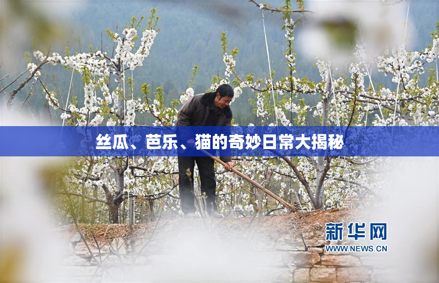 丝瓜、芭乐、猫的奇妙日常大揭秘