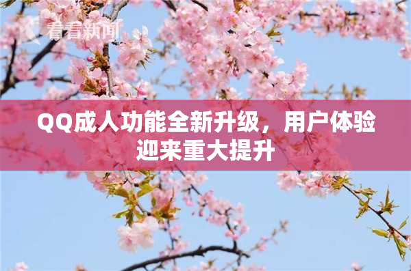 QQ成人功能全新升级，用户体验迎来重大提升